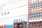 鳳凰起舞——記鳳凰城開盤（一）